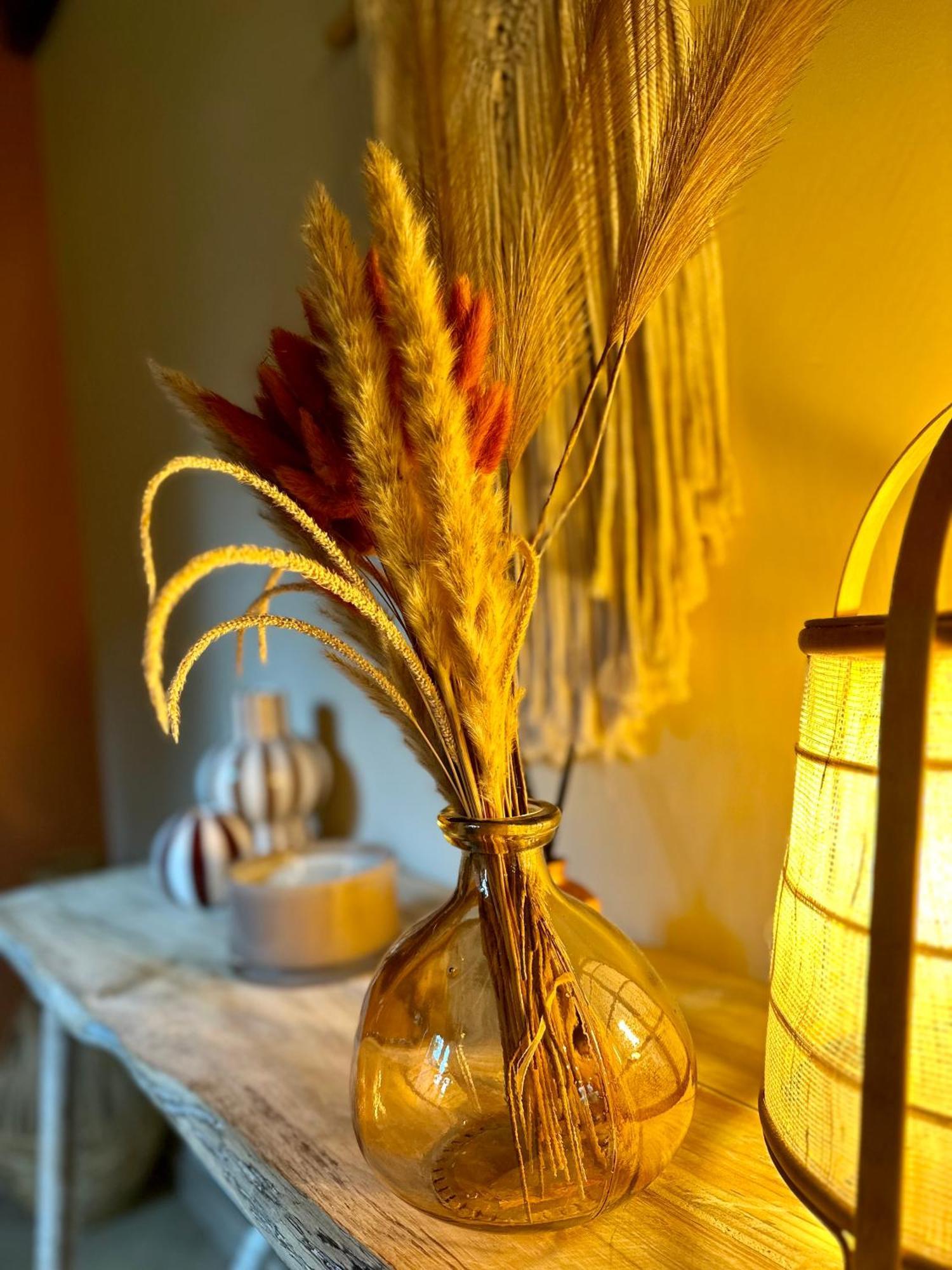 Ferme Marie Helene Bed & Breakfast Ittlenheim Ngoại thất bức ảnh